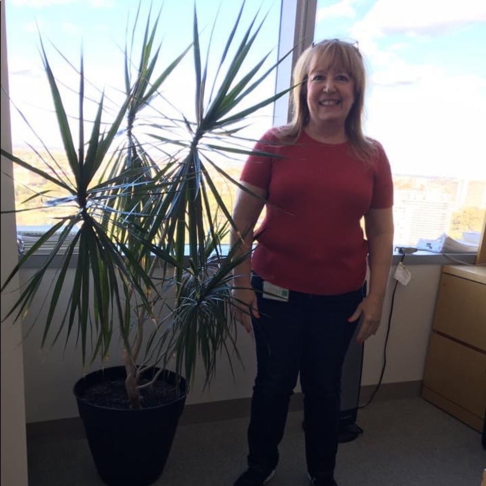 Meet your Posher, Diane